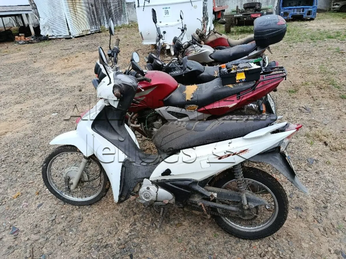 LOTE 0374