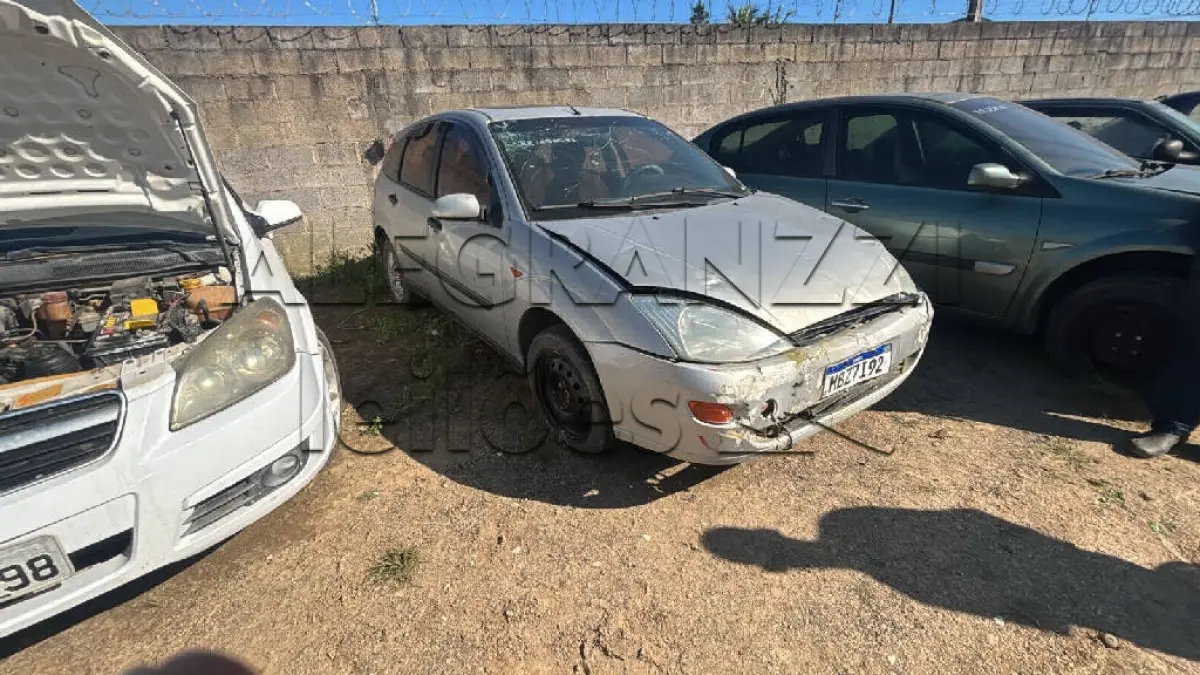 LOTE 0207