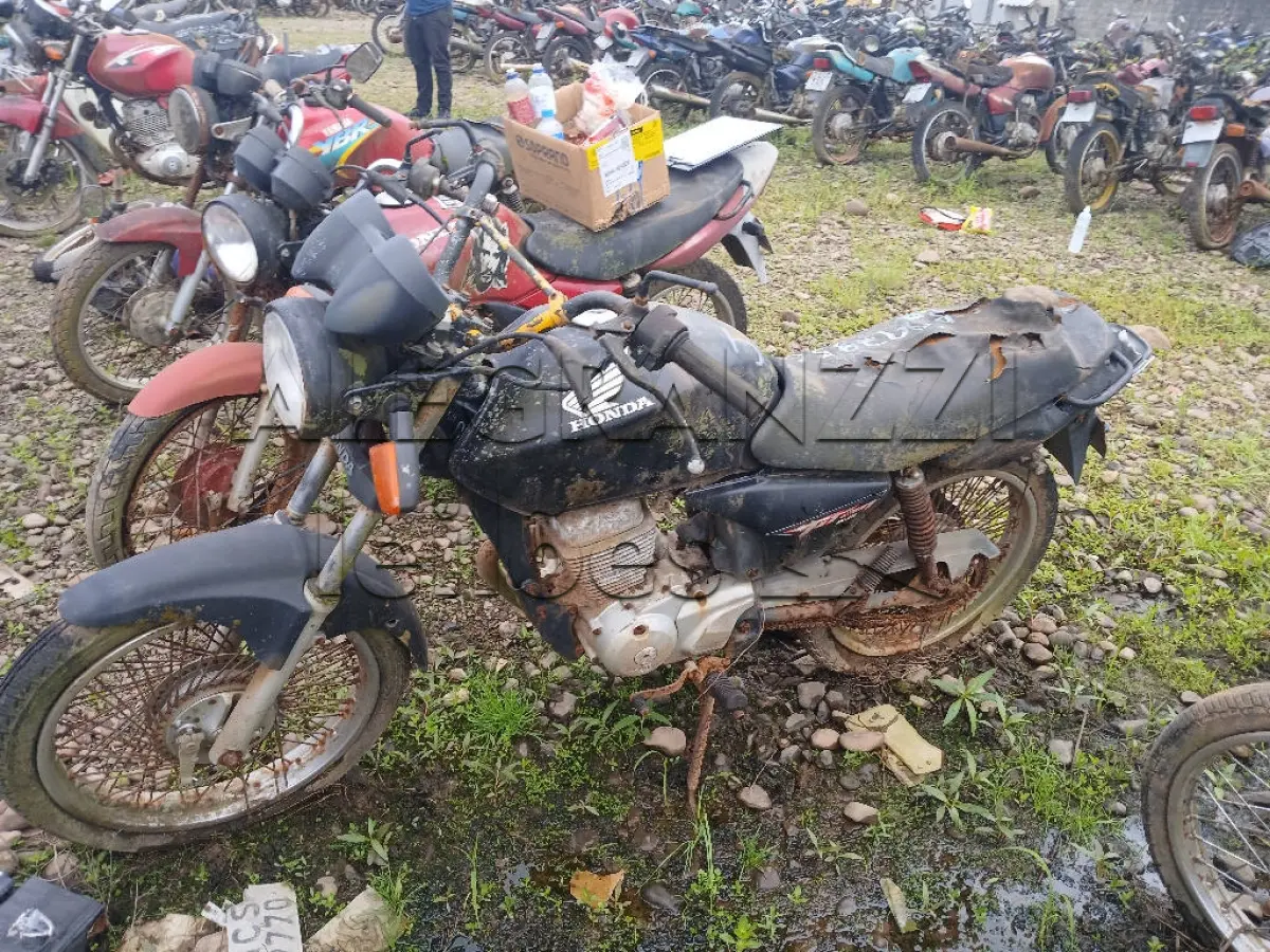 LOTE 0406