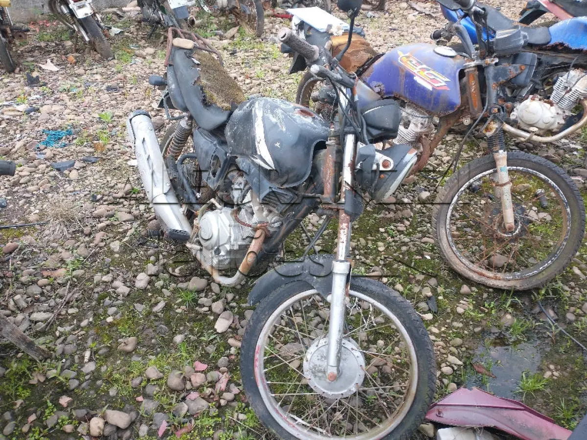 LOTE 0779