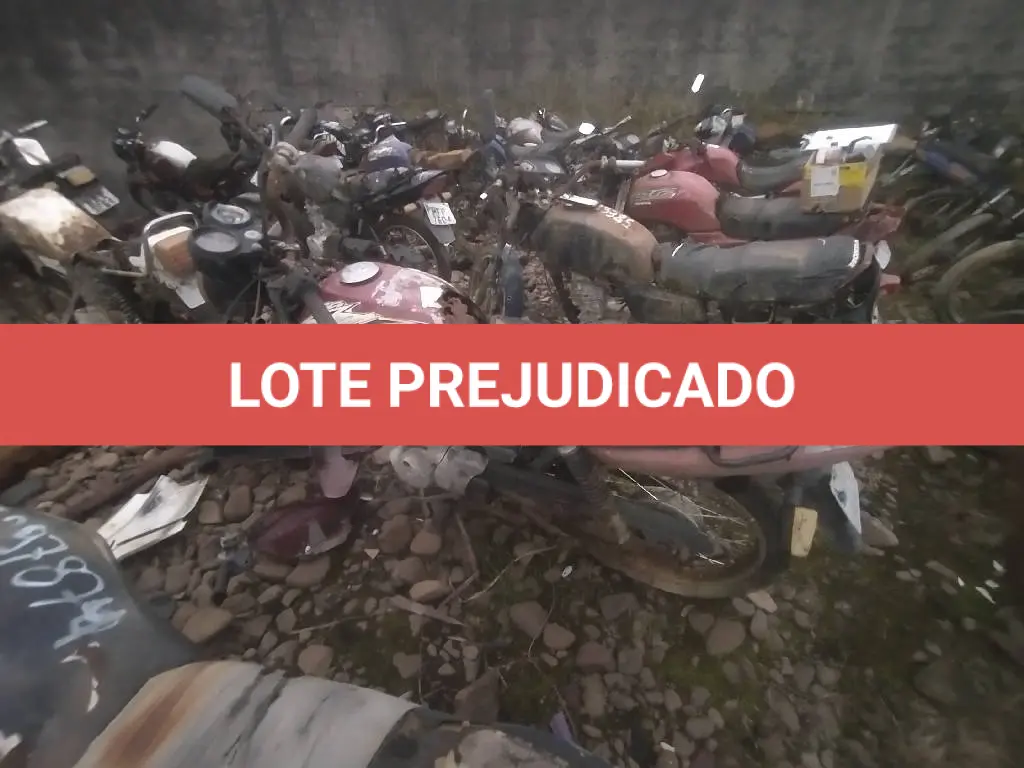 LOTE 0405