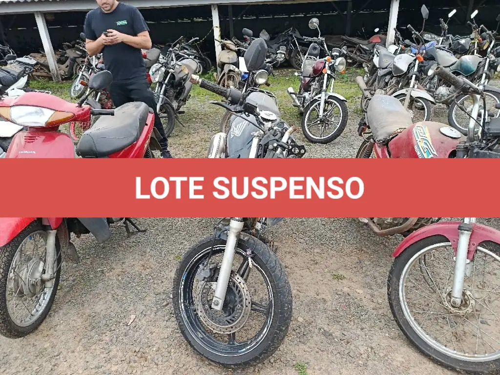 LOTE 0317