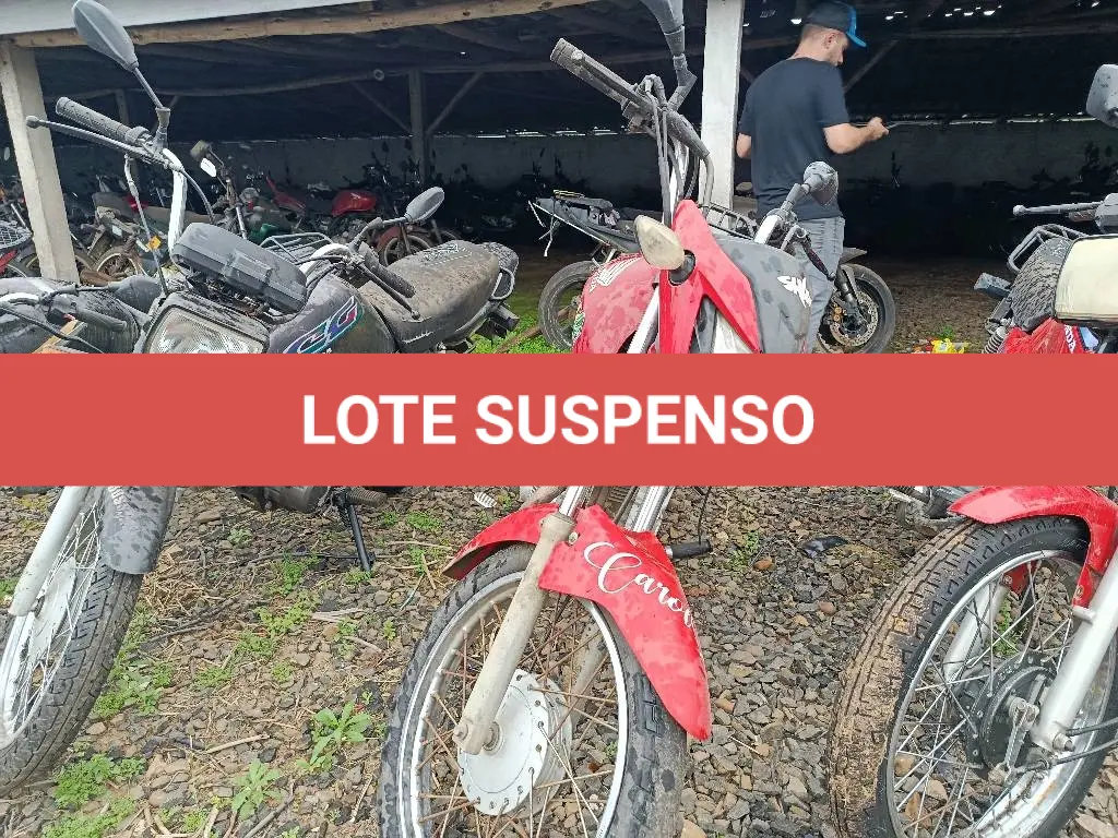 LOTE 0451