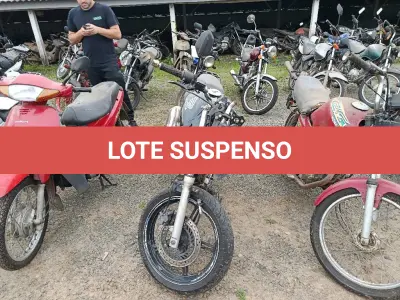 LOTE 0317 - 0317