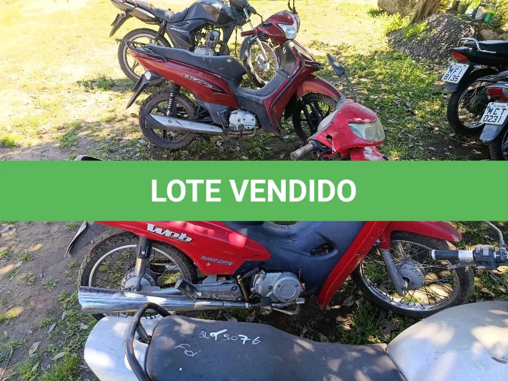 LOTE 0291
