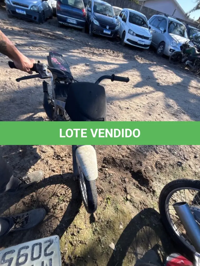LOTE 0679