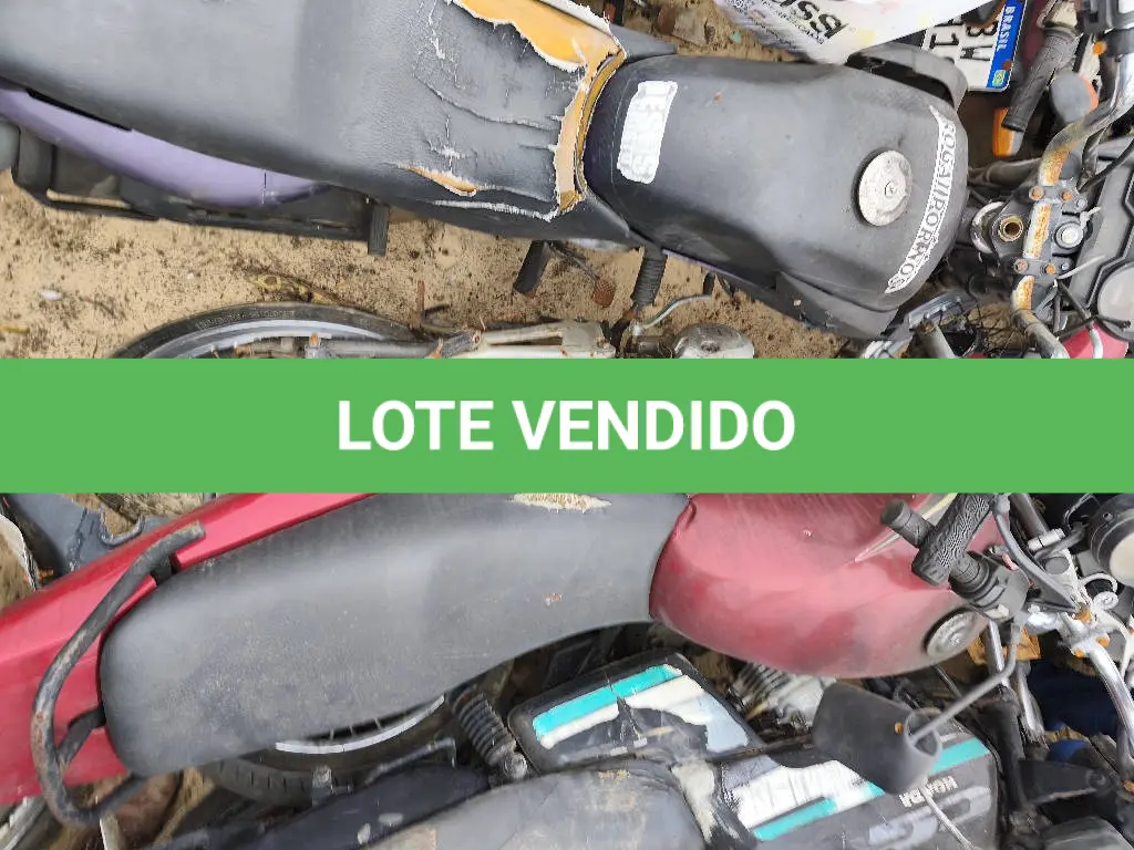 LOTE 0249