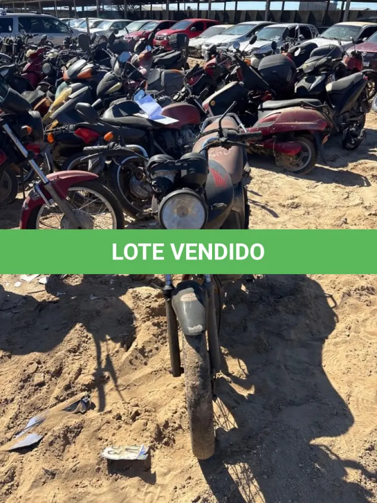 LOTE 0259