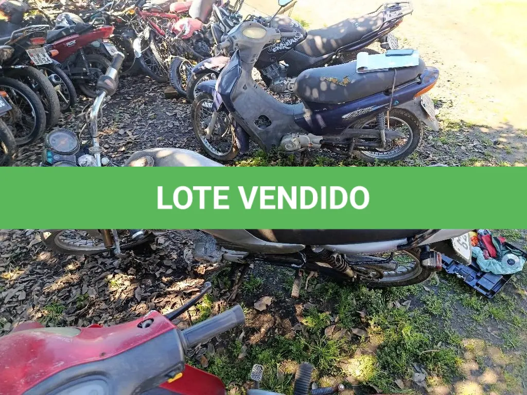 LOTE 0290