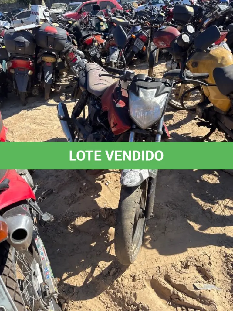 LOTE 0265