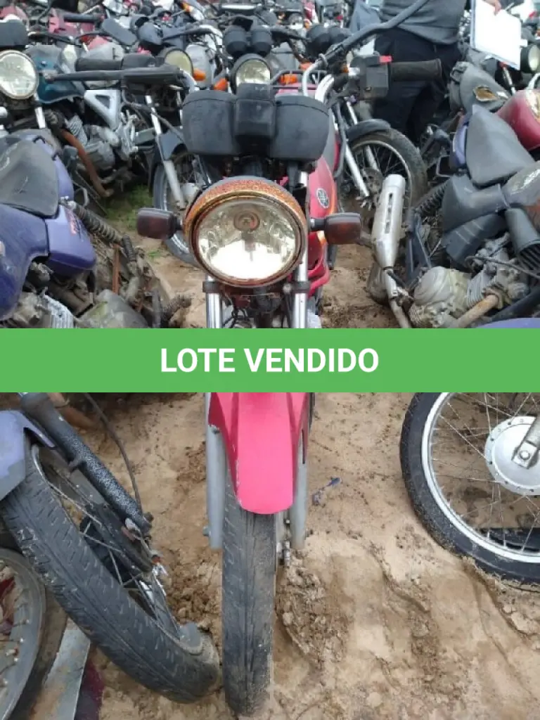 LOTE 0685