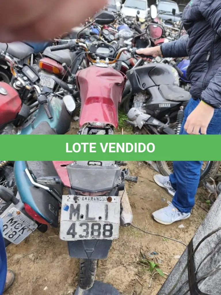 LOTE 0266