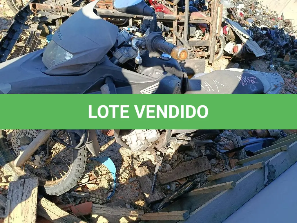 LOTE 0272