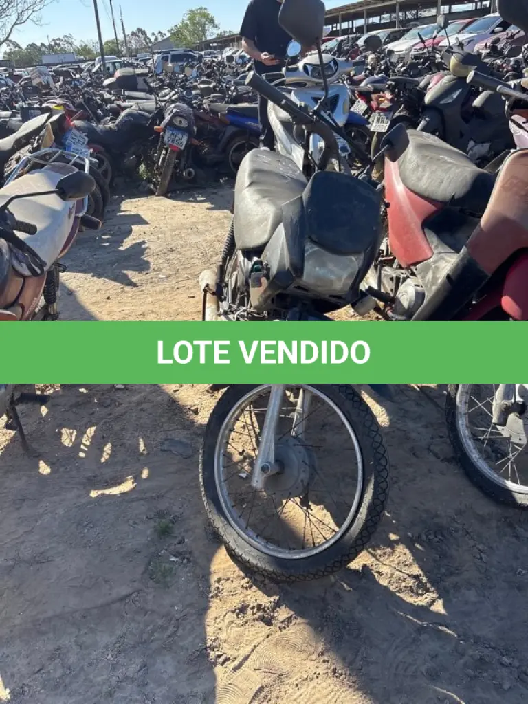LOTE 0273
