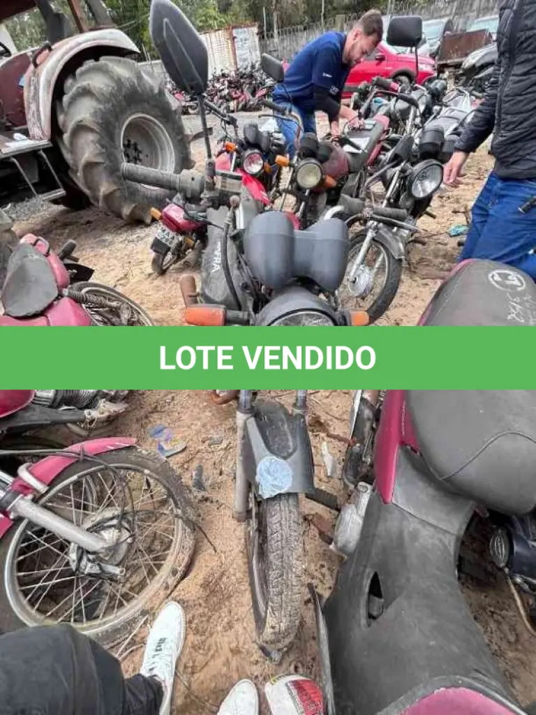 LOTE 0262
