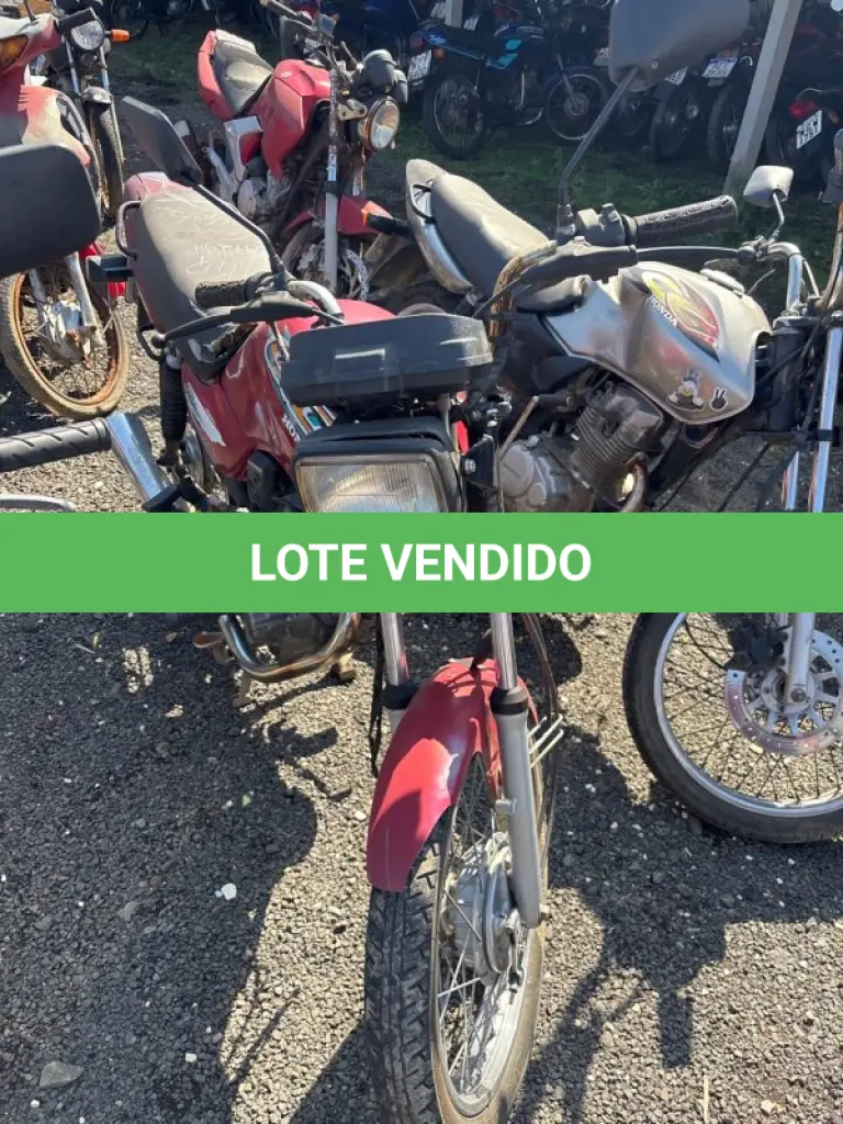LOTE 0499
