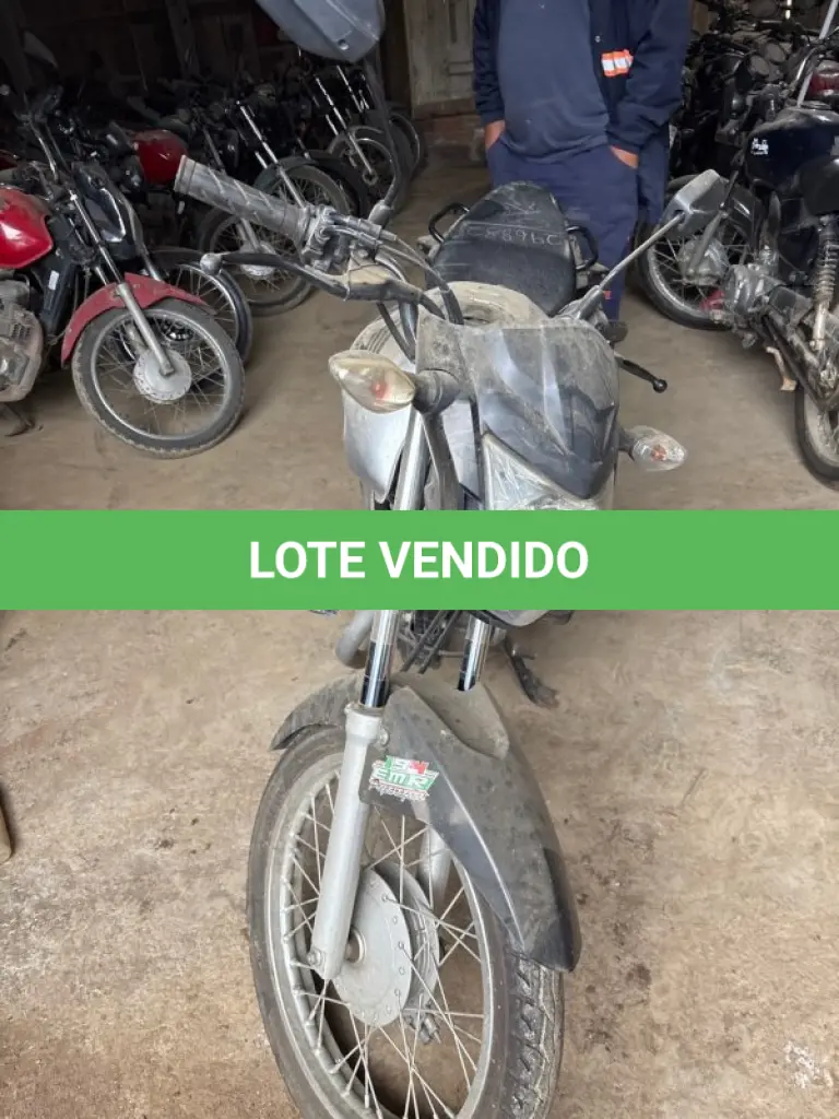 LOTE 0304