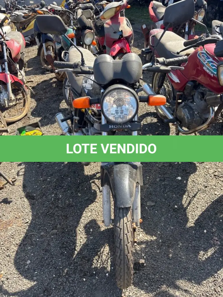 LOTE 0486
