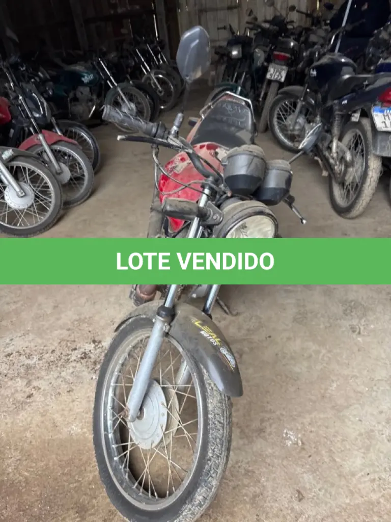 LOTE 0305