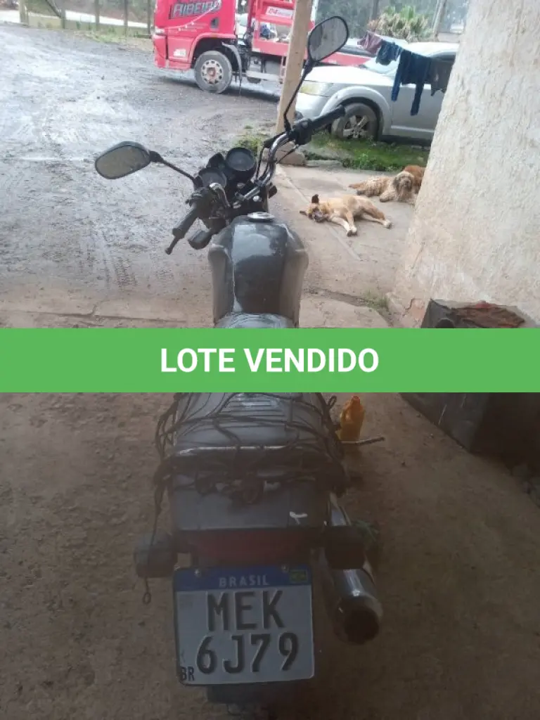 LOTE 0310