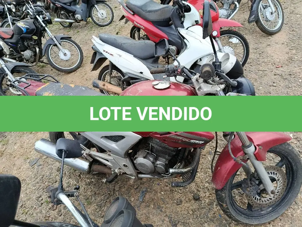 LOTE 0339