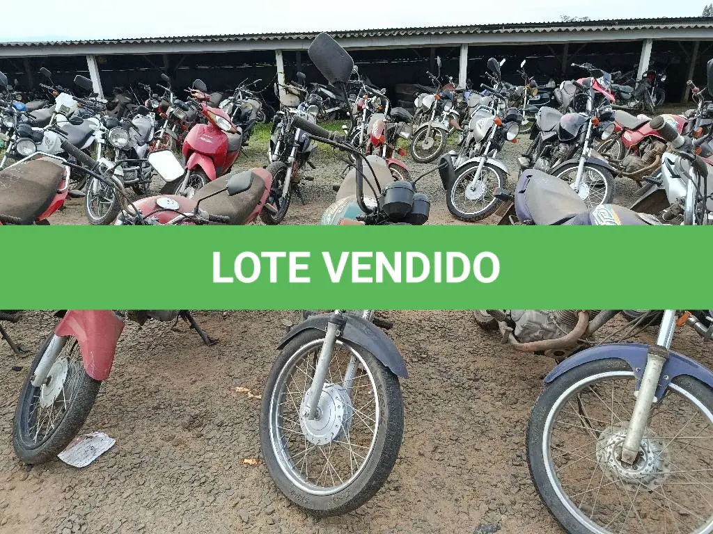 LOTE 0316