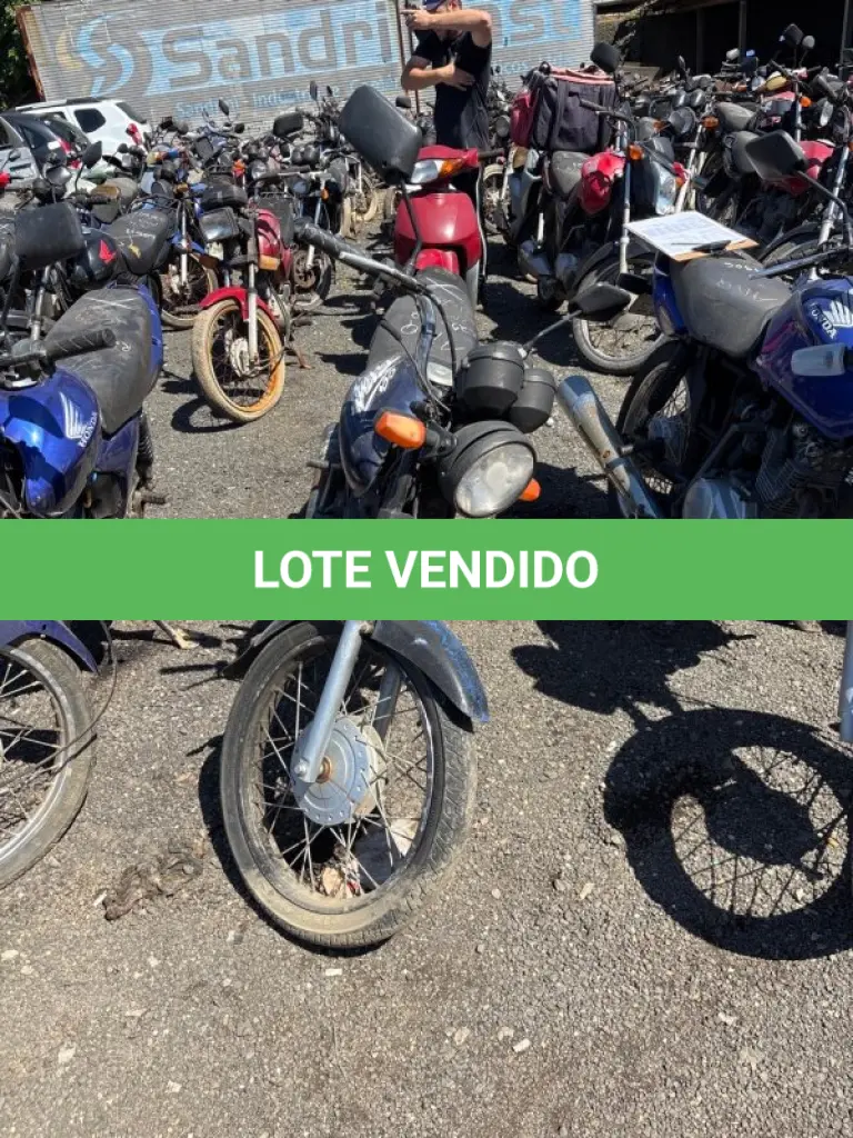 LOTE 0485