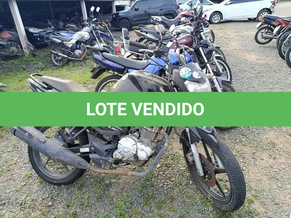 LOTE 0325