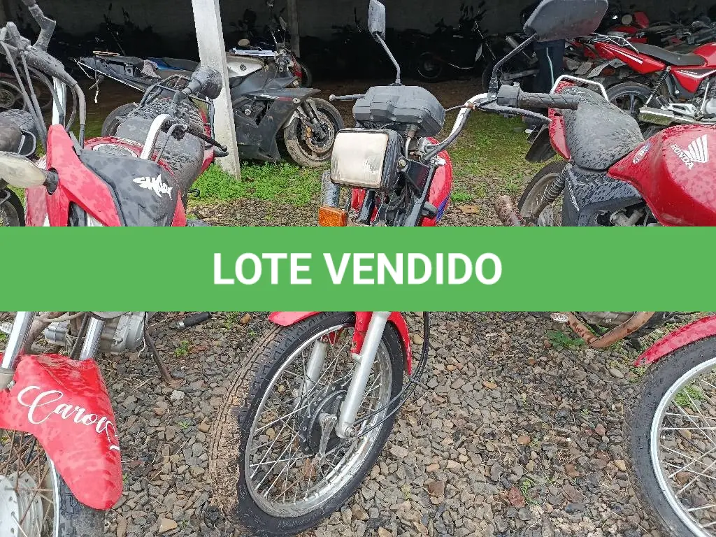 LOTE 0446