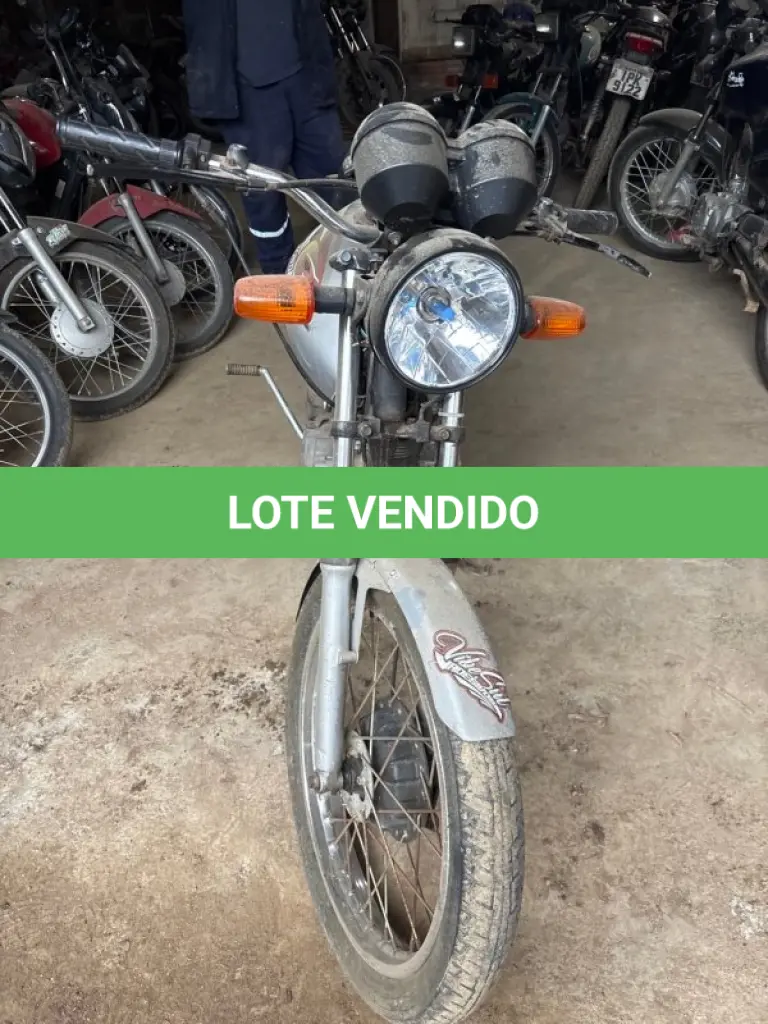 LOTE 0302