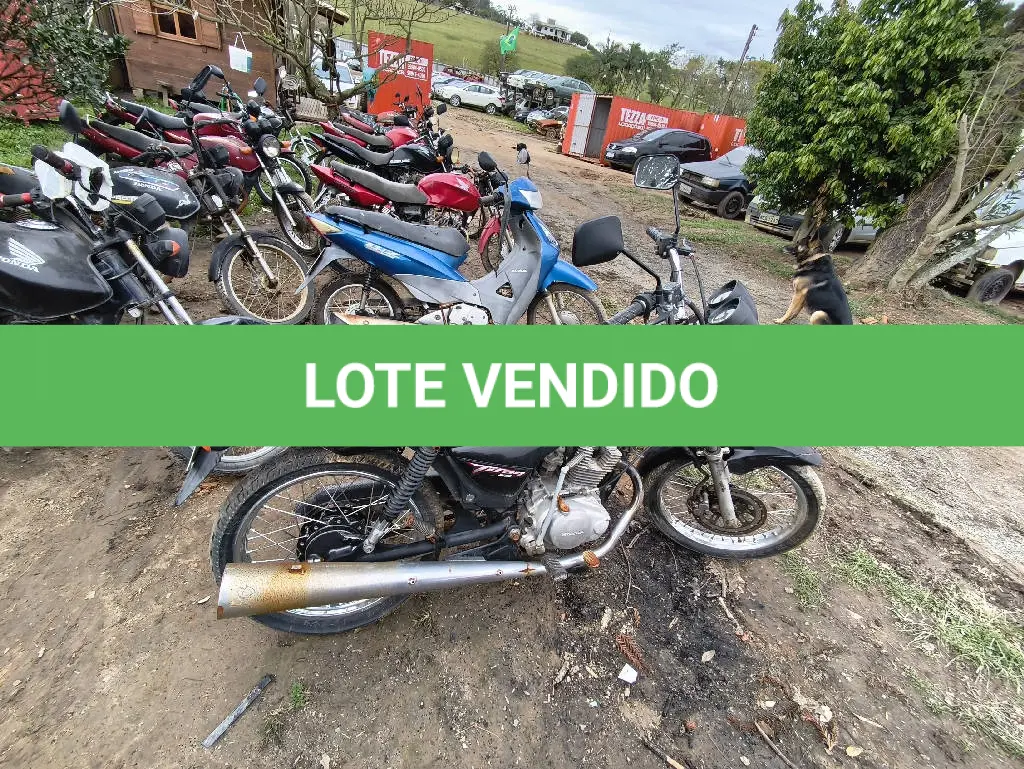 LOTE 0429