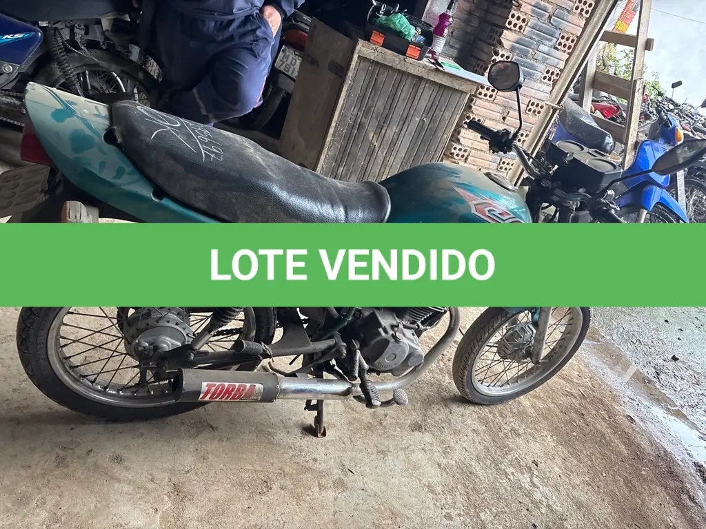 LOTE 0303