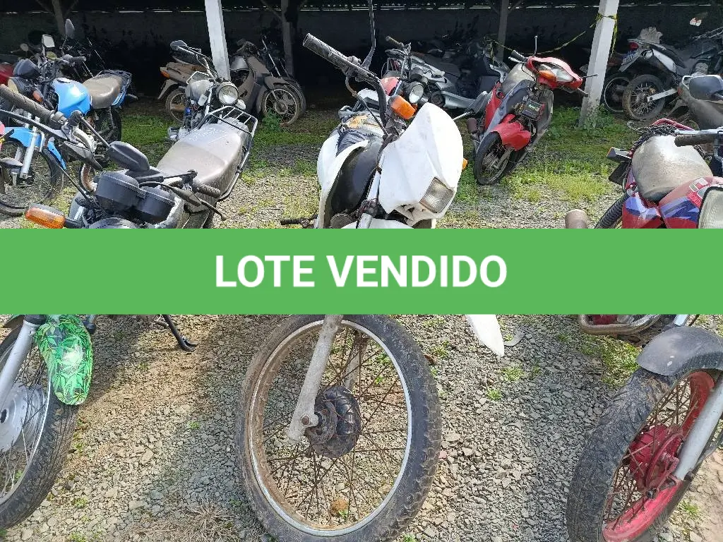 LOTE 0364