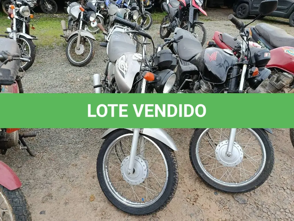 LOTE 0336
