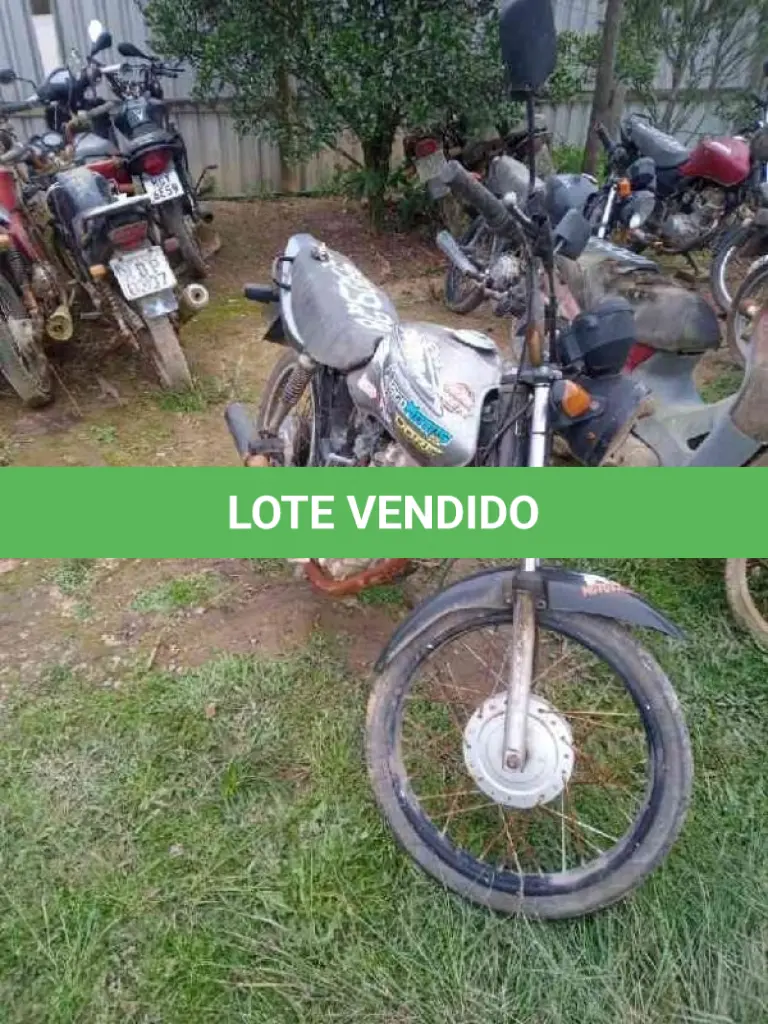 LOTE 0741