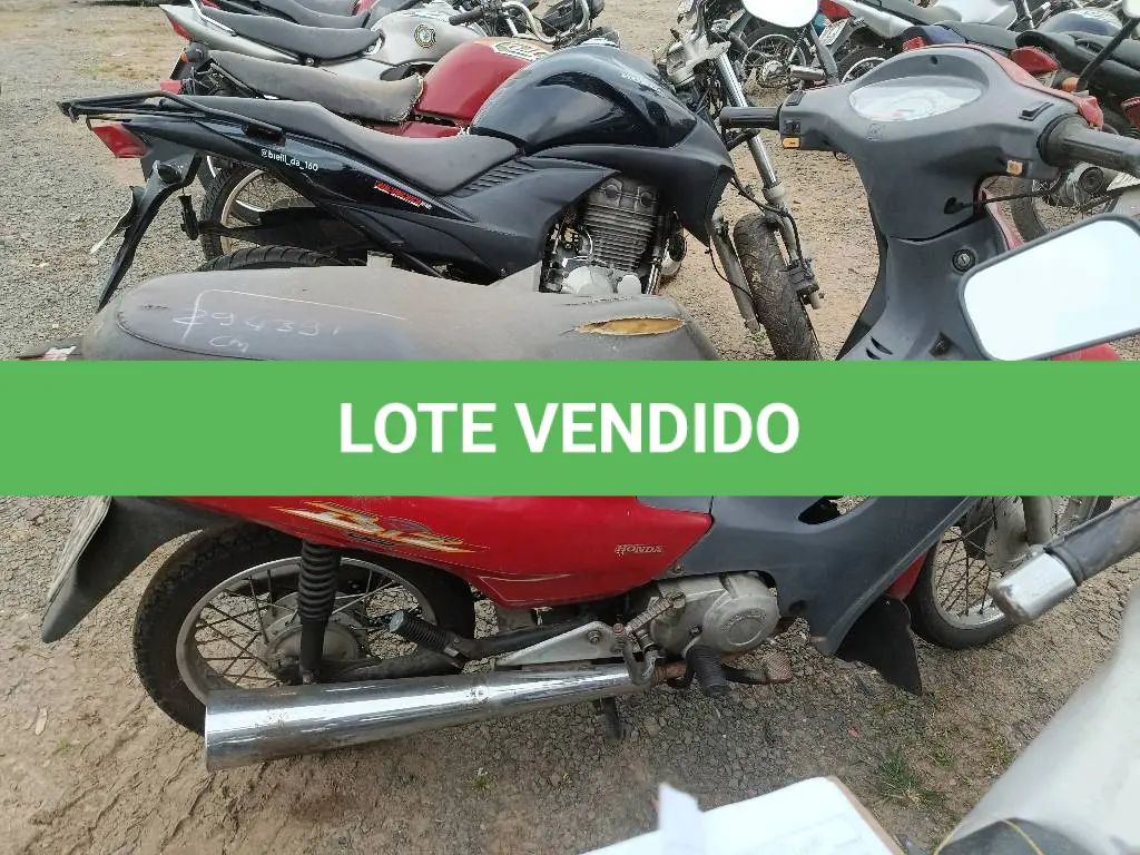 LOTE 0384