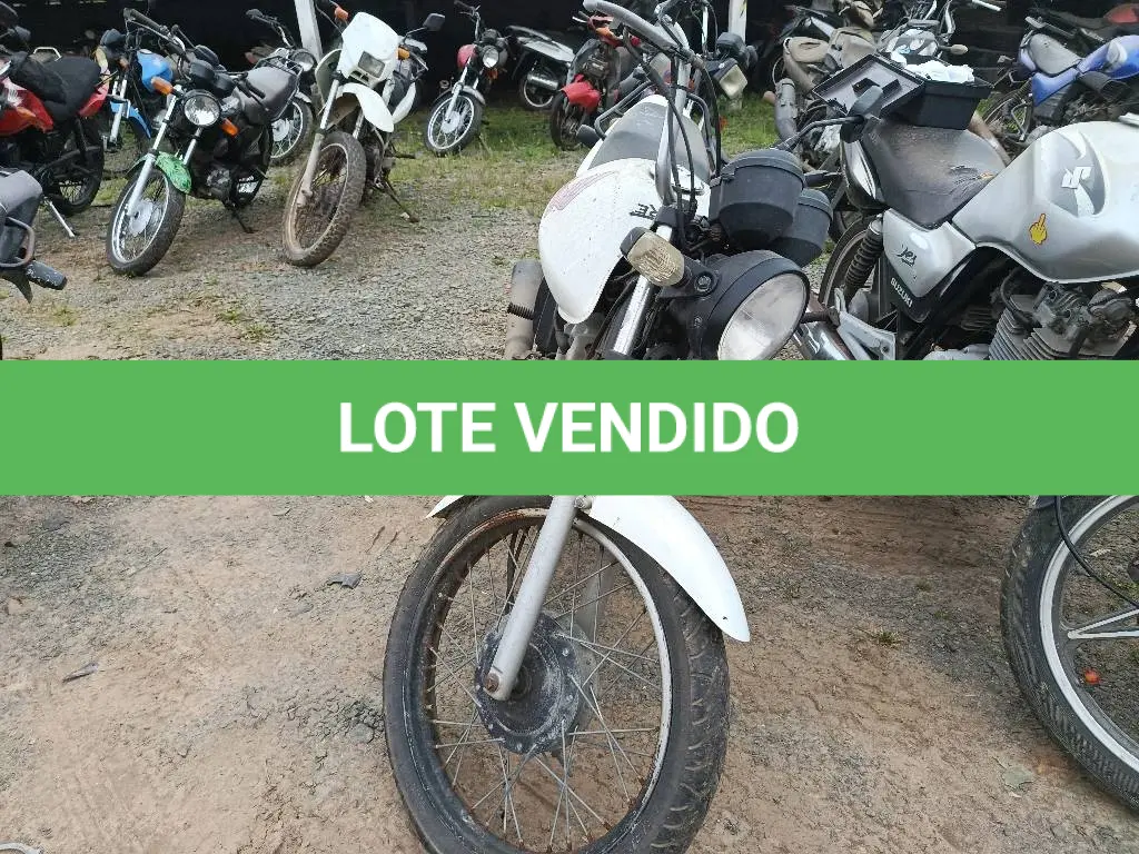 LOTE 0333