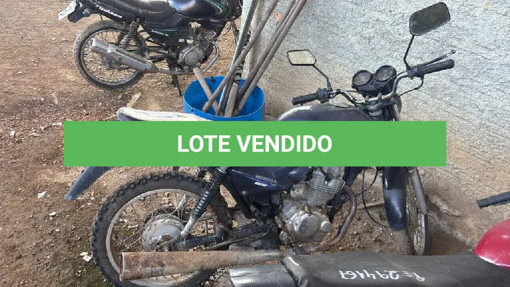 LOTE 0454