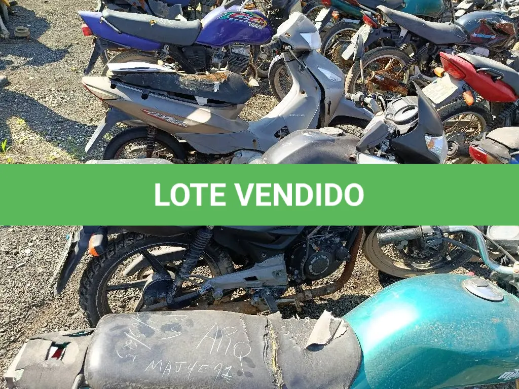 LOTE 0496