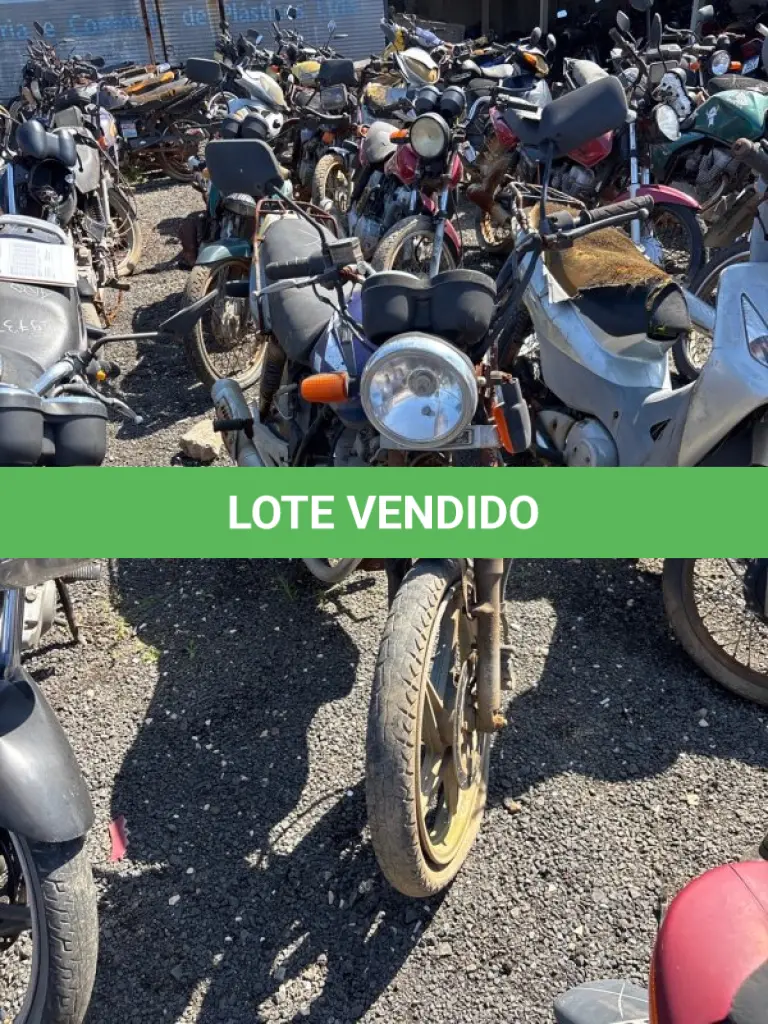 LOTE 0498