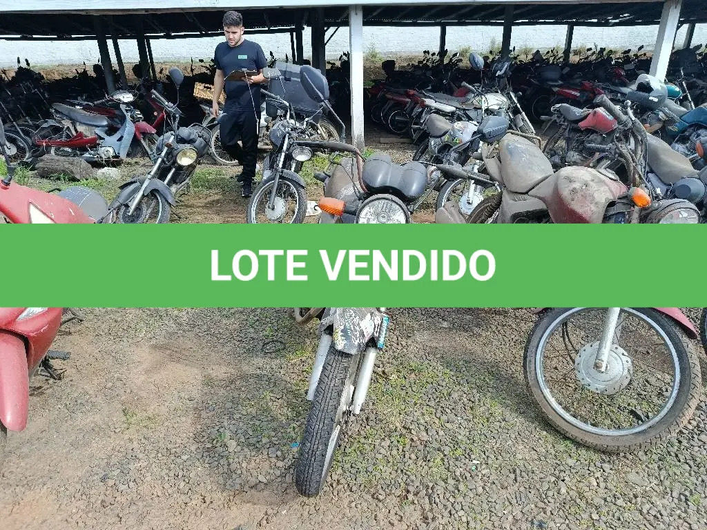 LOTE 0319