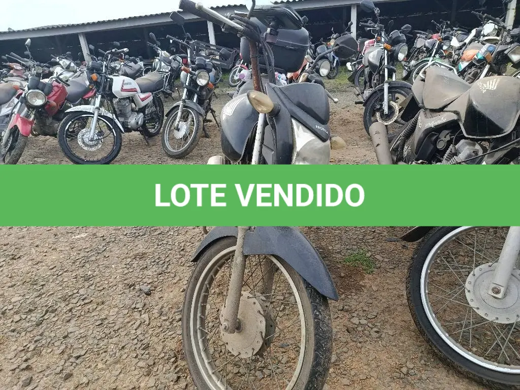 LOTE 0318