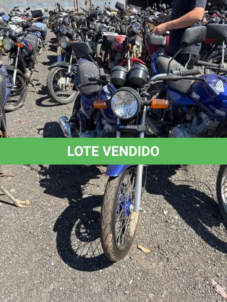 LOTE 0503