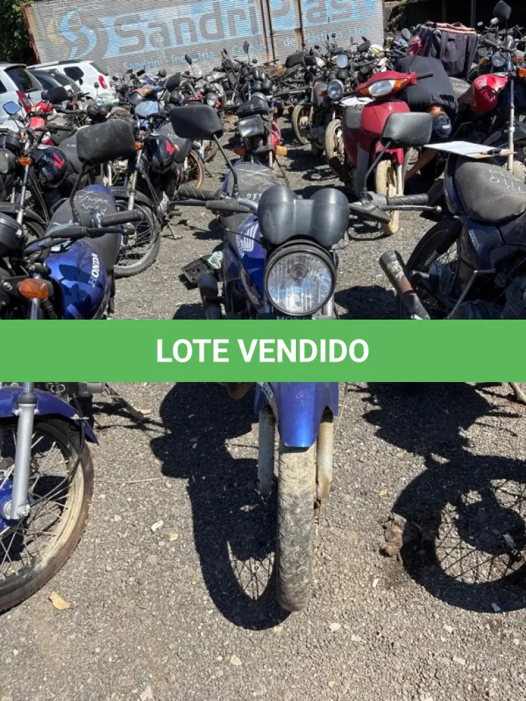 LOTE 0492