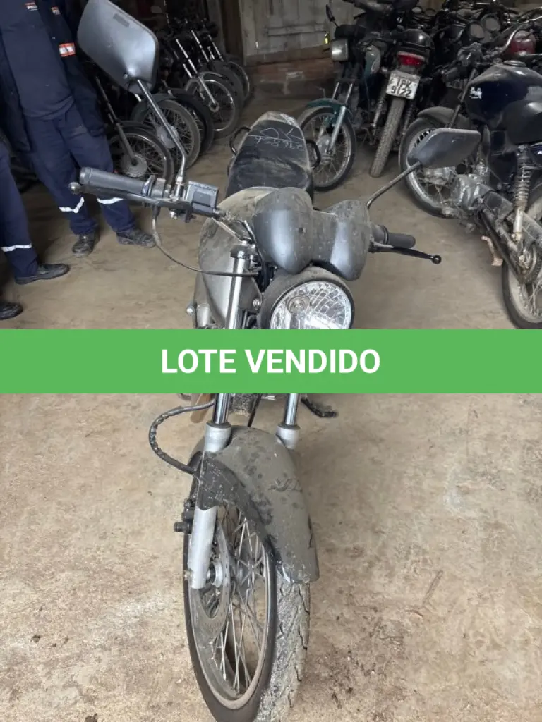 LOTE 0308