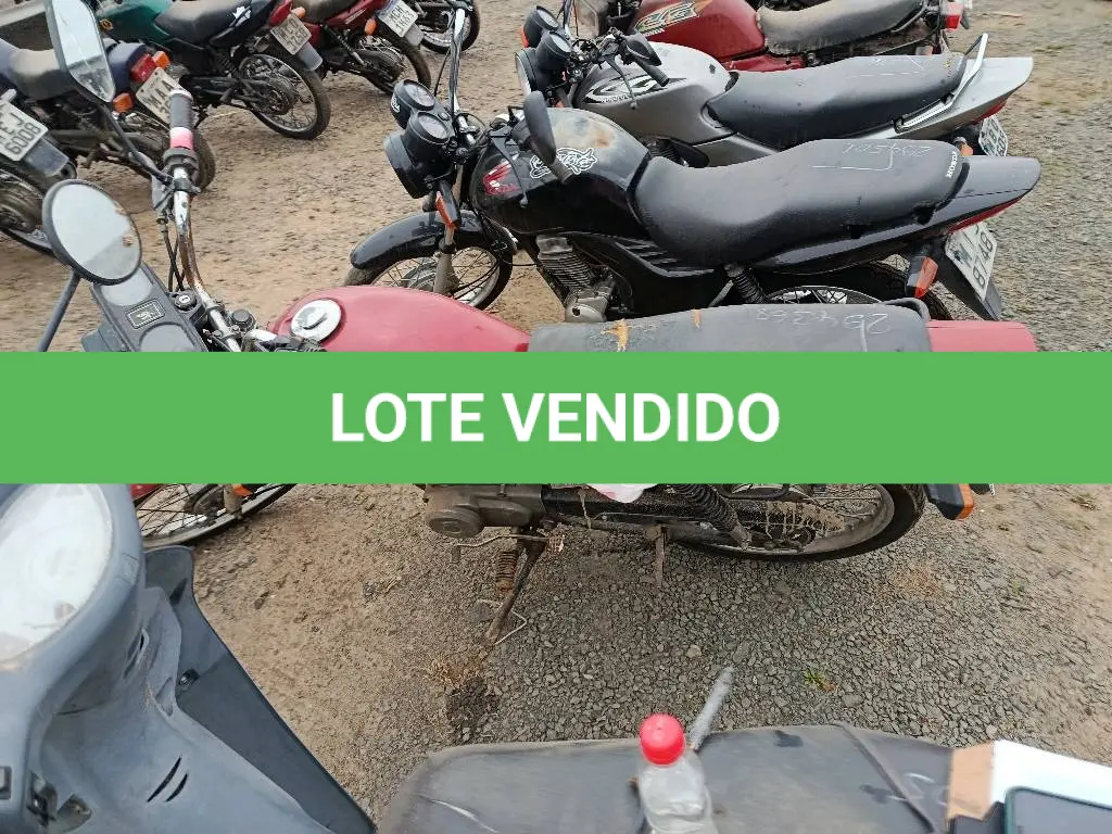 LOTE 0443