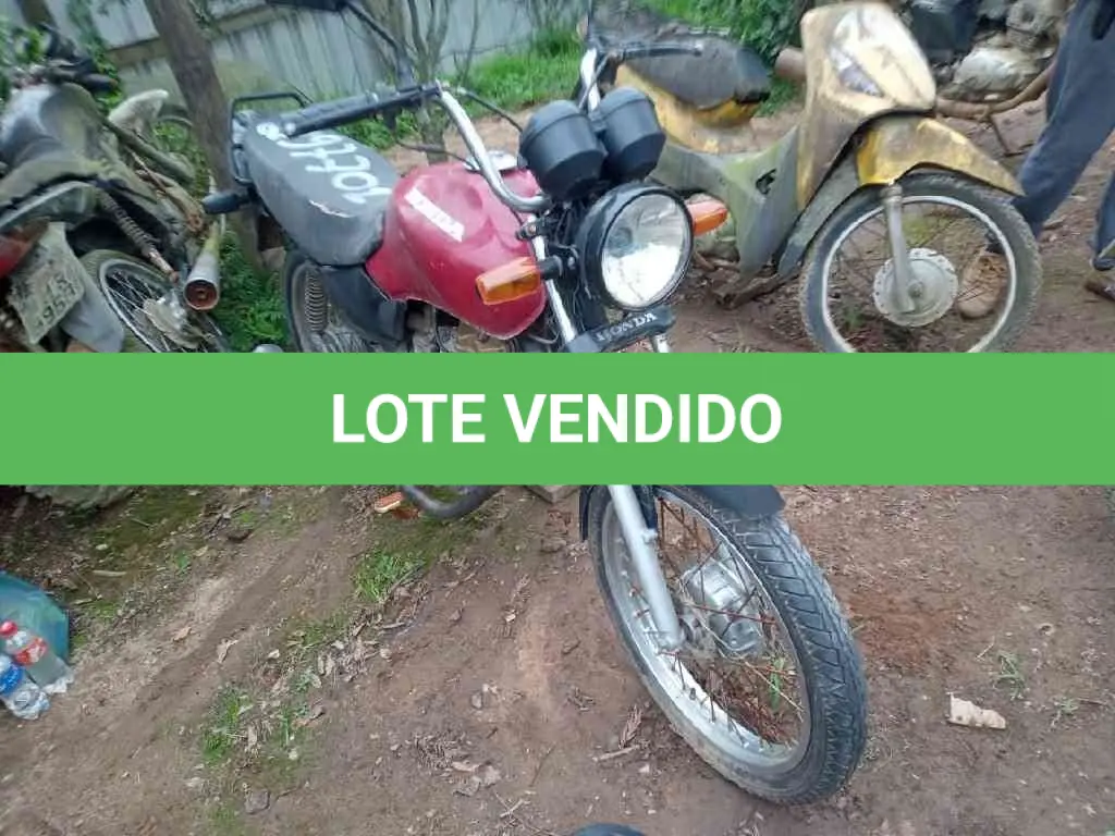 LOTE 0431
