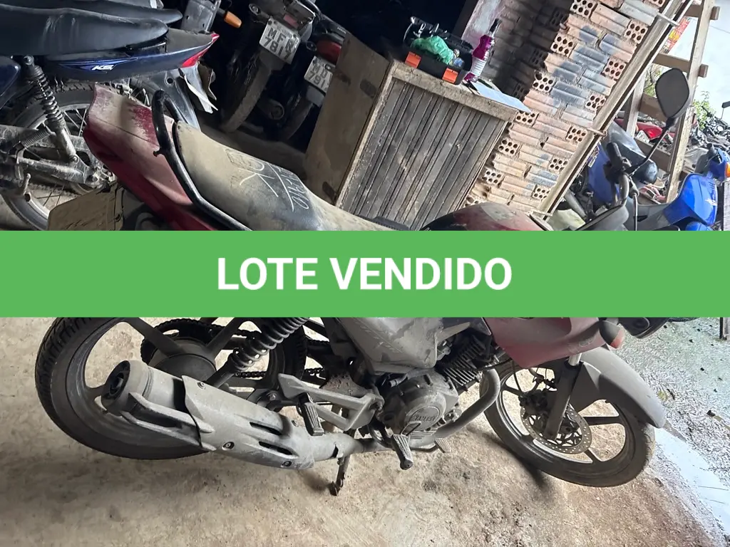 LOTE 0462