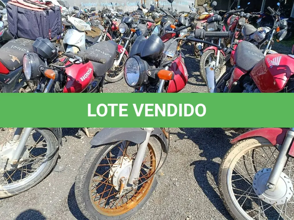 LOTE 0484