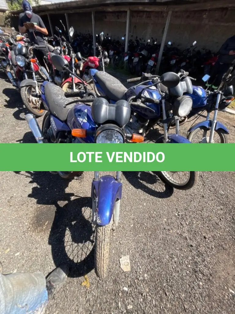 LOTE 0489